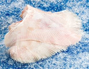 aile de raie produits de la mer frais